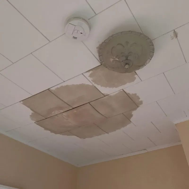 Ceiling Water Damage Repair in Torrington, CT