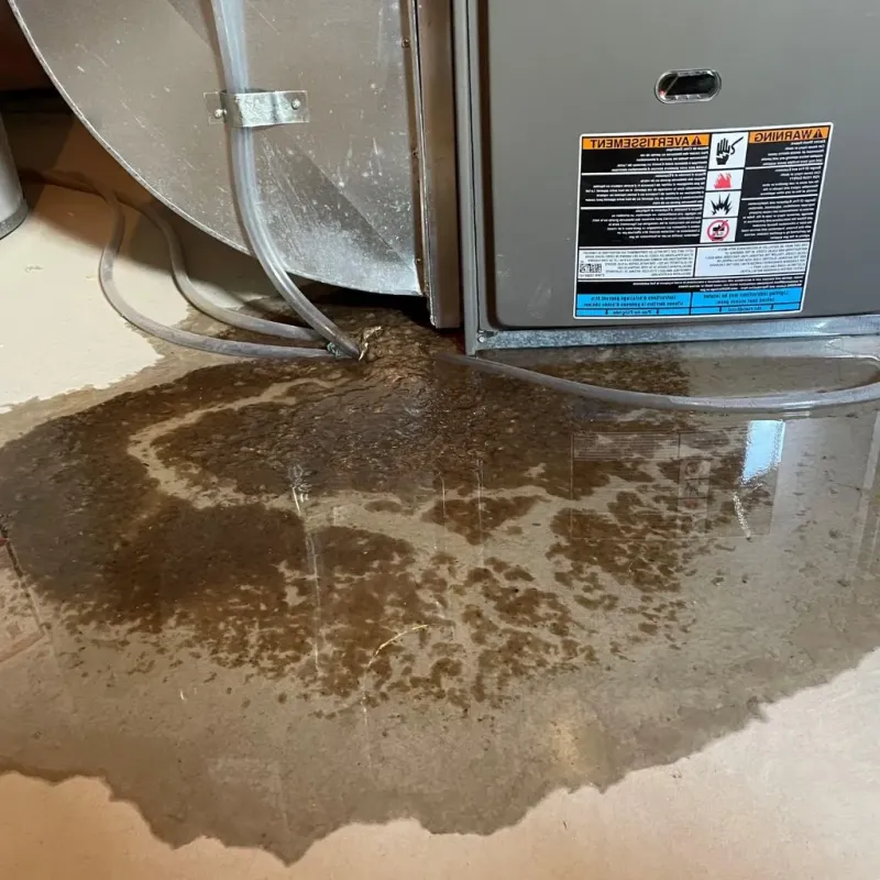 Pipe Burst and Leak Restoration in Torrington, CT