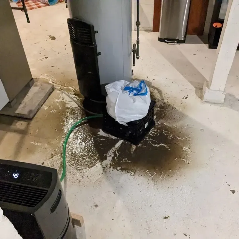 Sewage Backup Cleanup Service in Torrington, CT